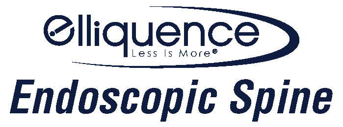 Endoscopic Spine